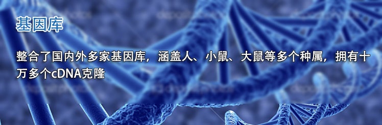 整合了国内外多家基因库，涵盖人、小鼠、大鼠等多个种属，拥有十万多个cDNA克隆